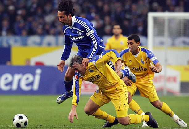 面对顽强的 面对顽强的