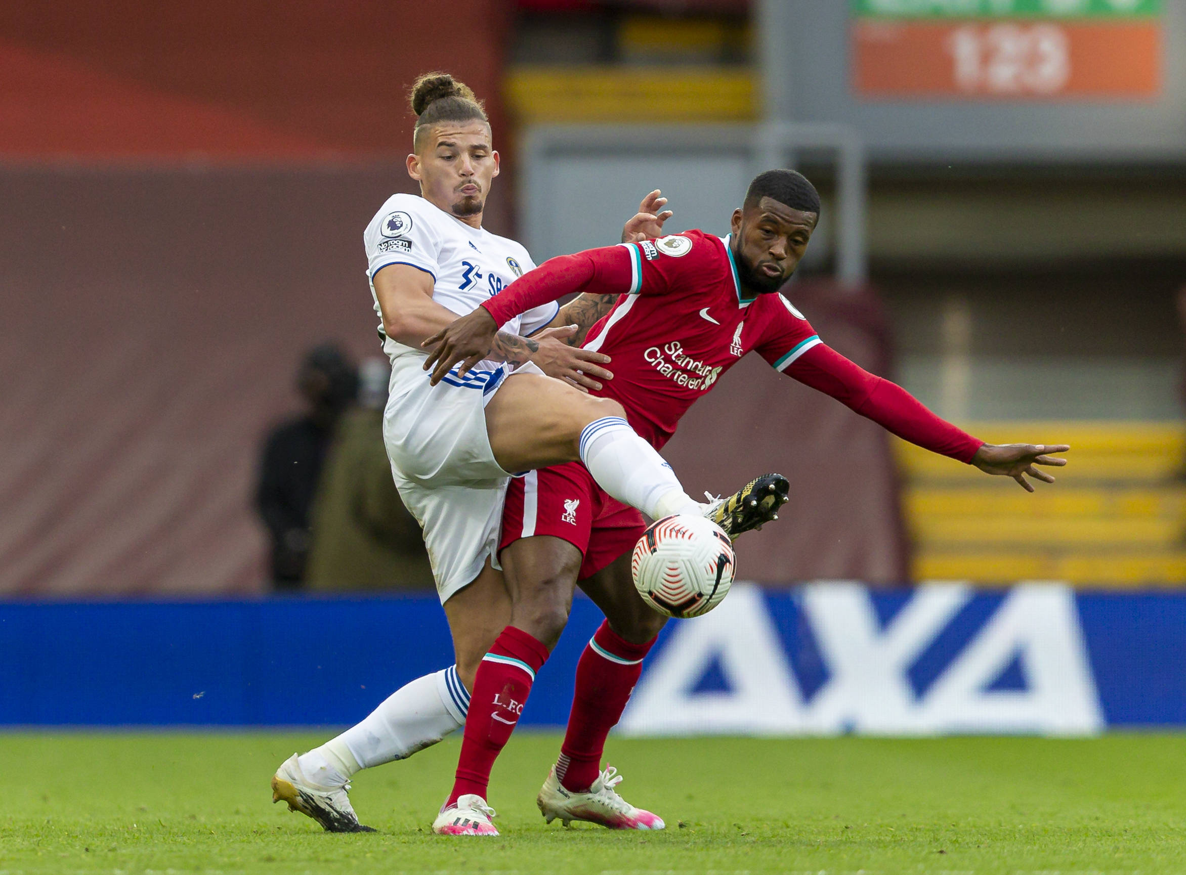 都是他们展 都是他们展